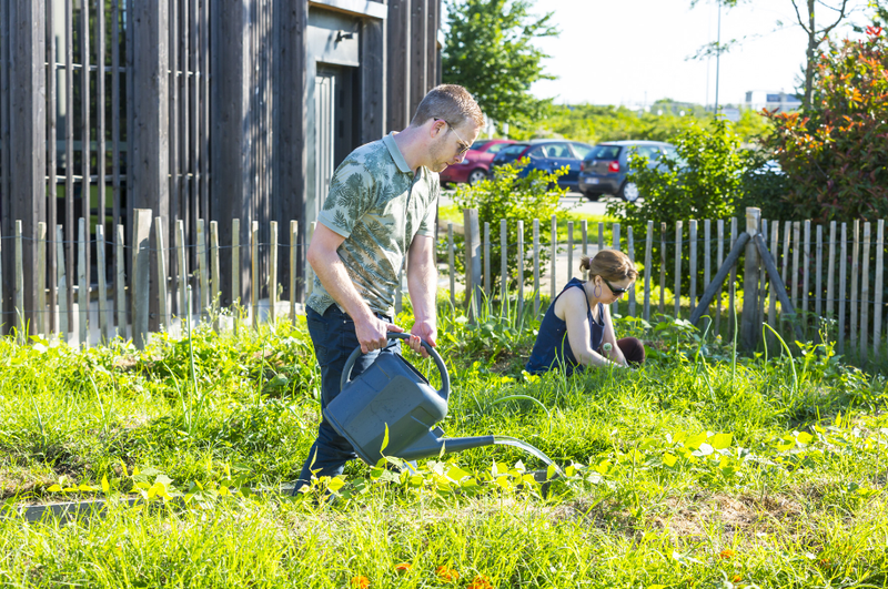 potager_partage_de_rovaltain.png