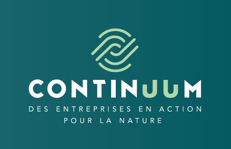 continuum.PNG