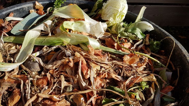 Biodéchets à valoriser dans un compost.