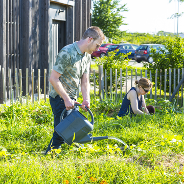 potager partagé de rovaltain.PNG