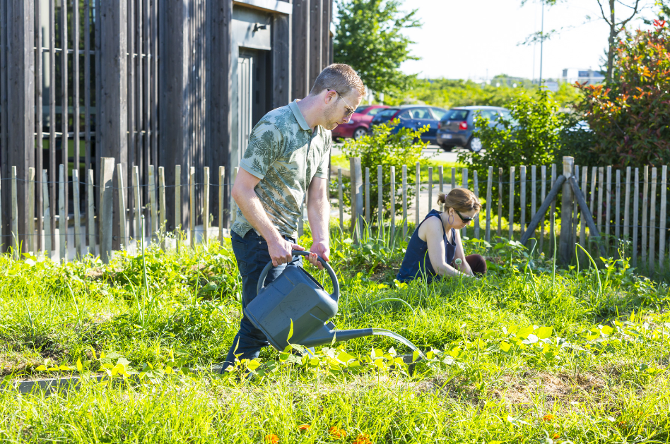 Ateliers de formation à l'agroécologie à Rovaltain.