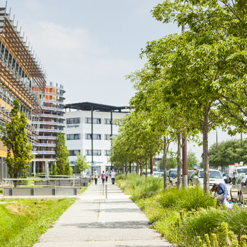 offre immobiliere rovaltain valence tgv - bureaux.PNG