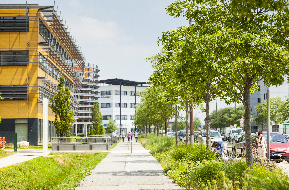 L'offre immobilière proposée à Rovaltain - Valence TGV est diversifiée et adaptée à chaque entreprise