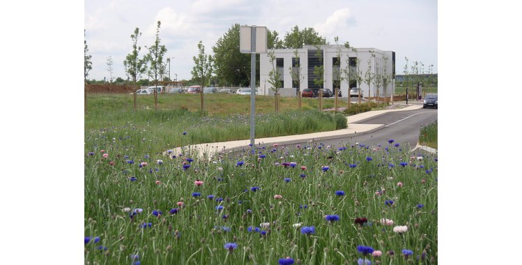 Photo Activités industrielles - Bâtiment à partir de 1300 m² - Lot 22
