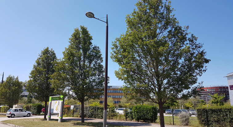 amenagement arbres et haies.PNG